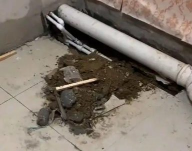 兴和卫生间漏水检测哪家好